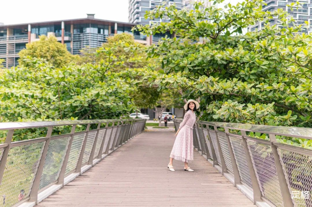 深圳人少的海滨公园,深圳滨海公园怎么样