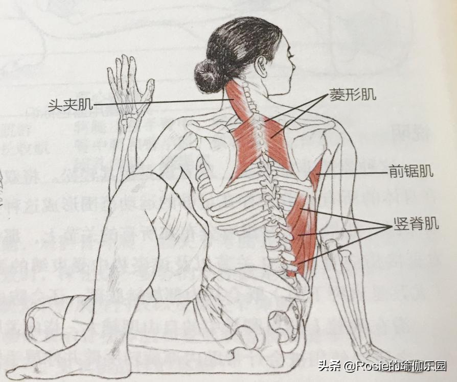 产后平躺腰疼是怎么回事,产后腰痛膝盖痛怎么锻炼