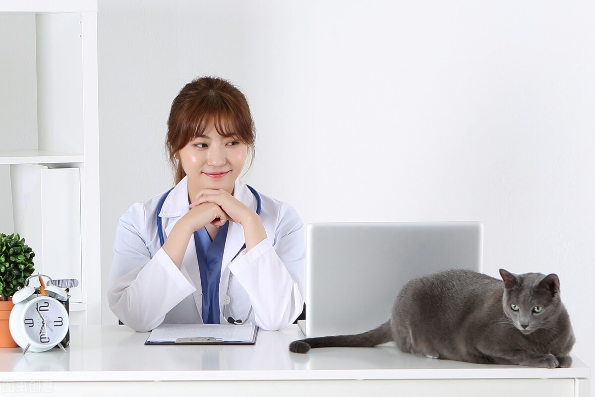 宠物犬疥螨怎么治疗,宠物狗皮肤红疹