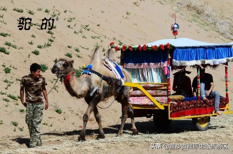 黄沙古渡原生态旅游区五一,宁夏黄沙古渡五一人流量