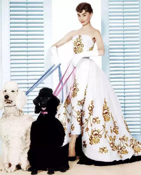 国际大品牌奢侈品香奈儿,最奢侈的十大品牌