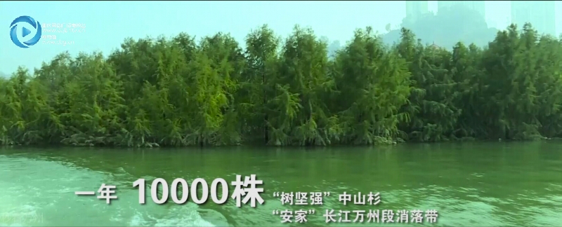 重庆万州未来发展规划,重庆万州区发展前景