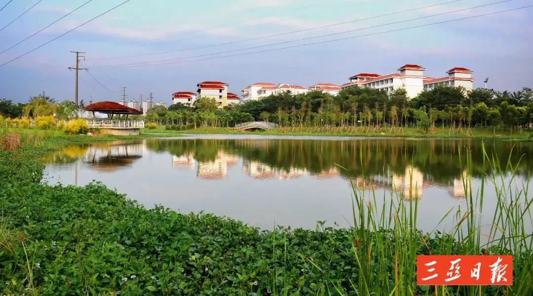 海南三亚最好的公园,三亚这些高颜值拍照圣地美翻了