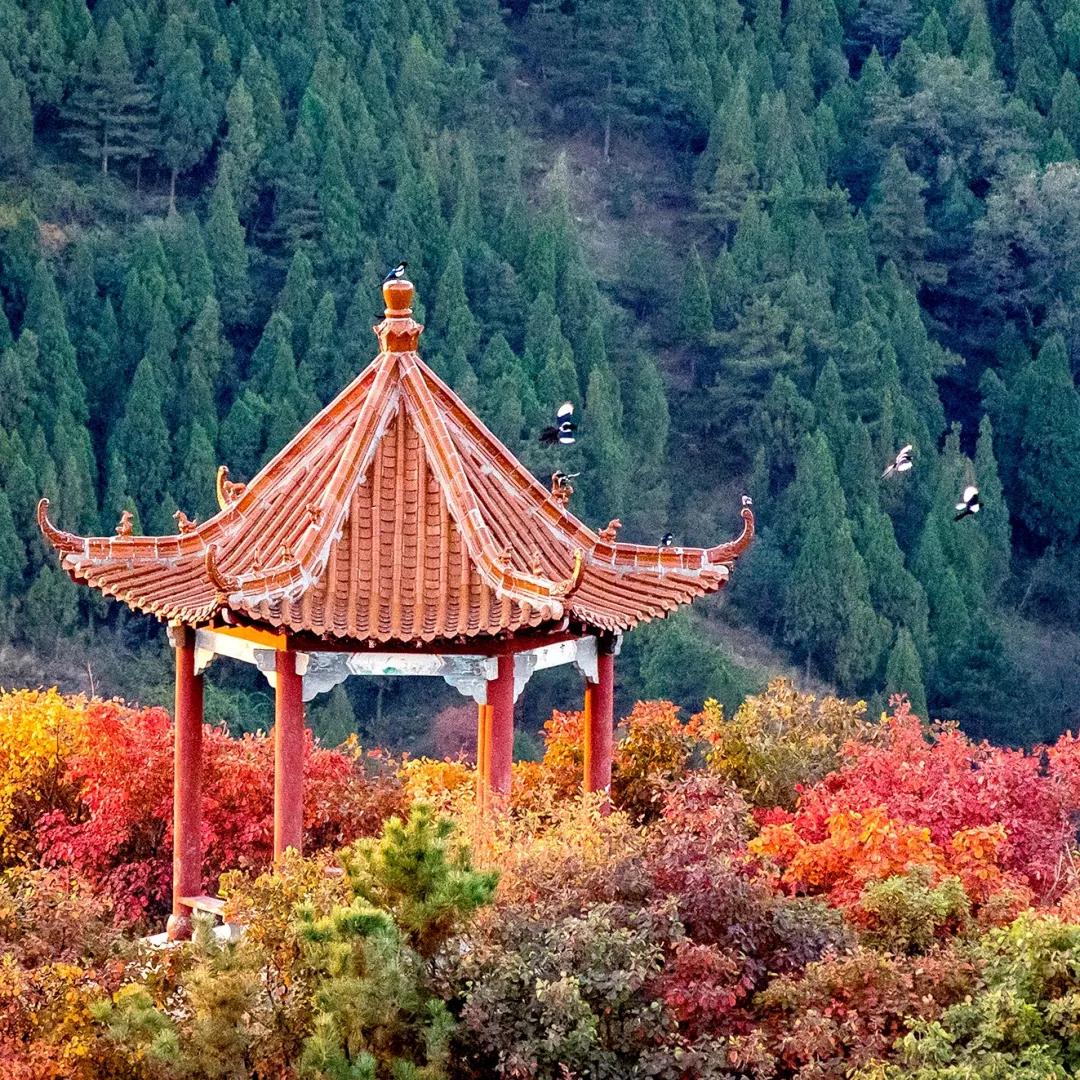 灵山秀水度深秋,灵山秀水堪称世外桃源