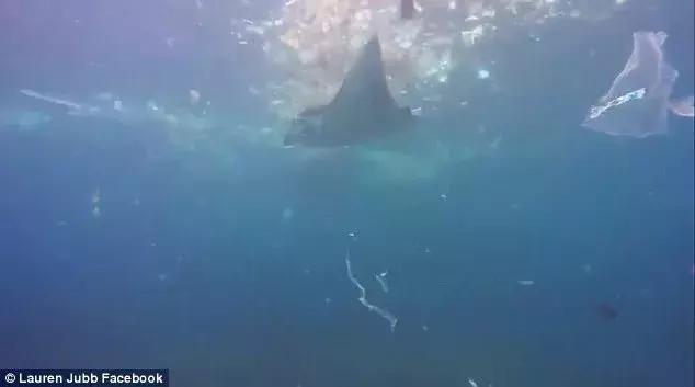 巴厘岛最垃圾的海滩,巴厘岛度假胜地