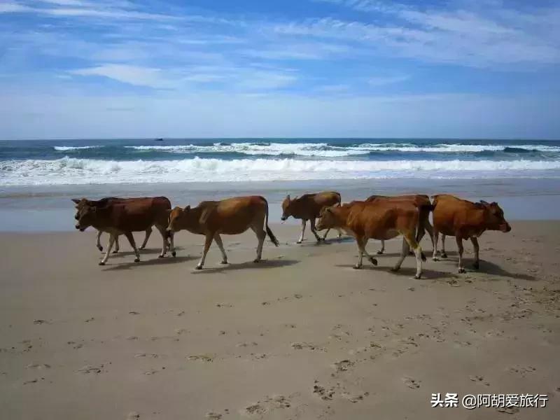 珠海最全攻略，全珠海最长的沙滩原来藏在这里