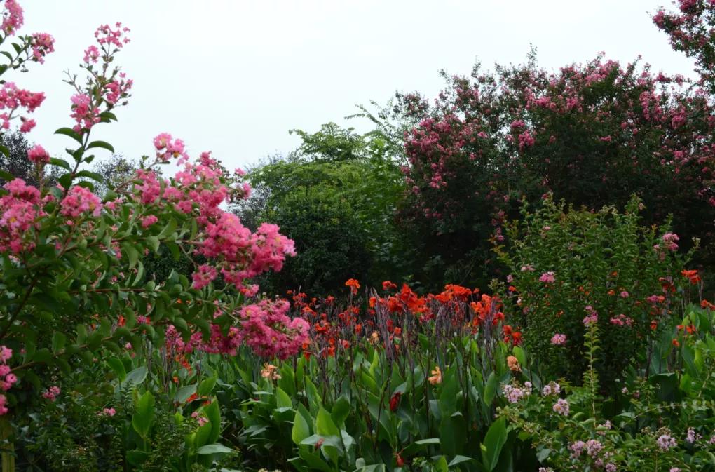 西安公园24小时开放,西安未央湖公园免费开放时间