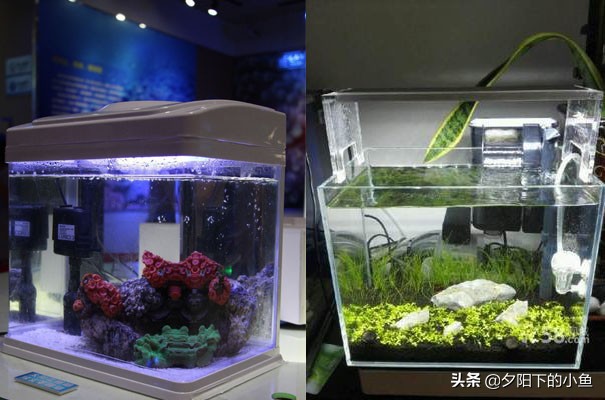新手养水草臭了怎么办,新手养水草缸教学
