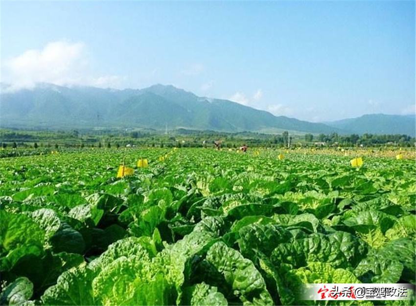宝鸡县域经济高质量发展论坛,宝鸡市各县2019经济状况