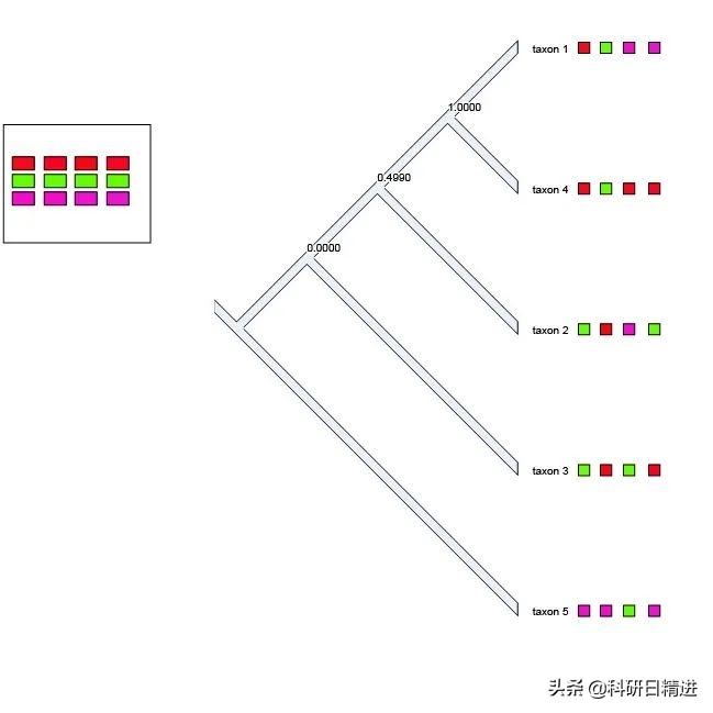 高通量测序步骤,高通量筛选与高通量测序
