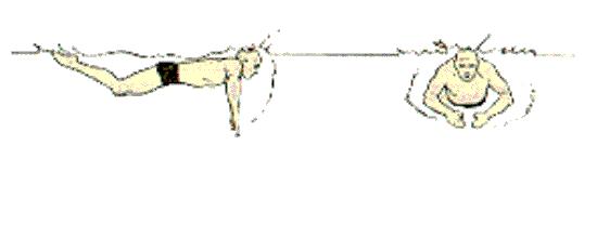游泳初学者必看各种泳姿,游泳最简单最容易学的是哪个泳姿