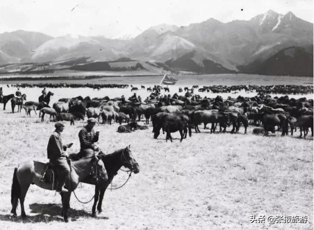 山丹军马场旅游去哪个马场,山丹军马场世界第一大军马场