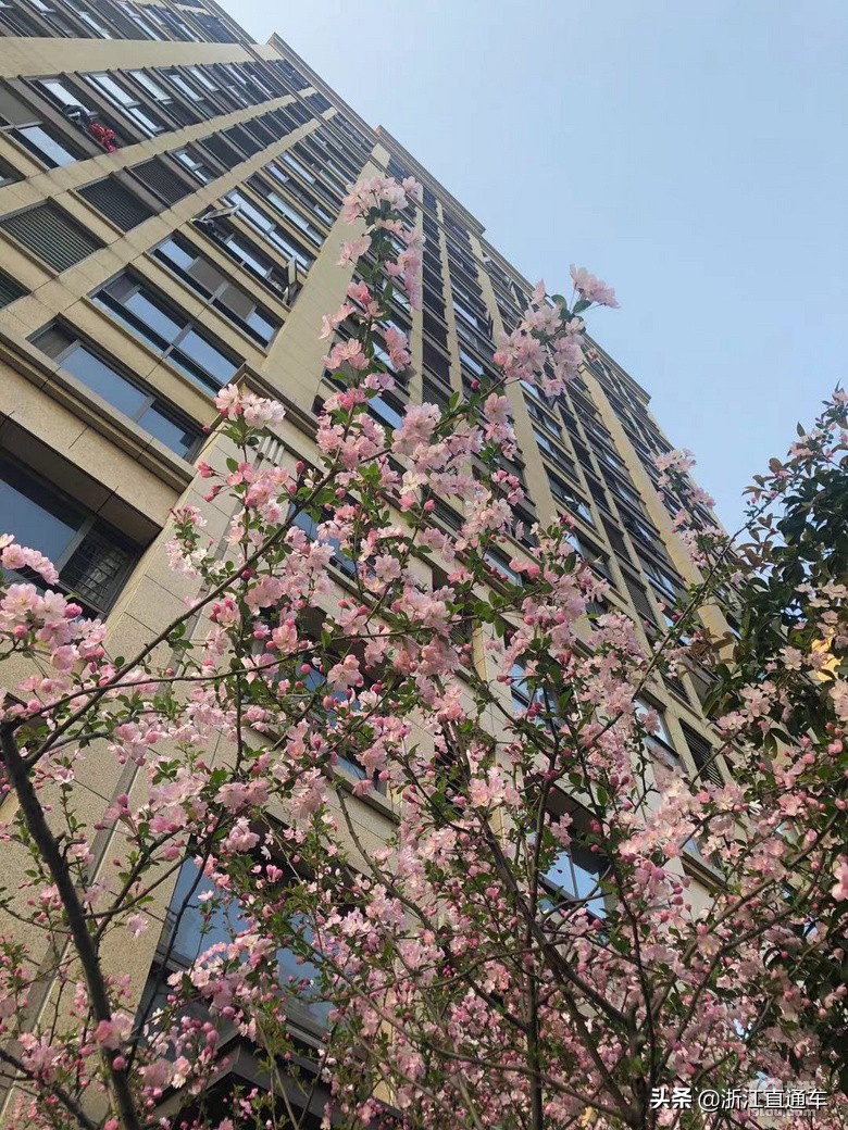 五年前买房和现在买房的差距,庆幸自己买了房子