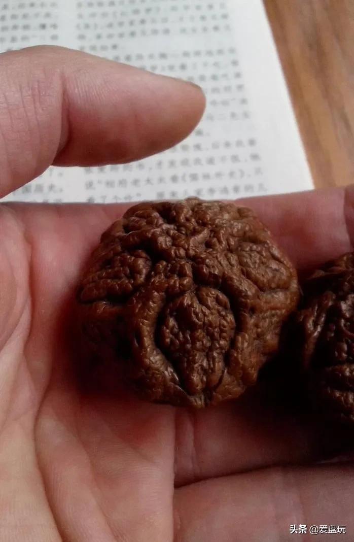 哪种菩提能盘玩时间最久,最值得玩的三种菩提