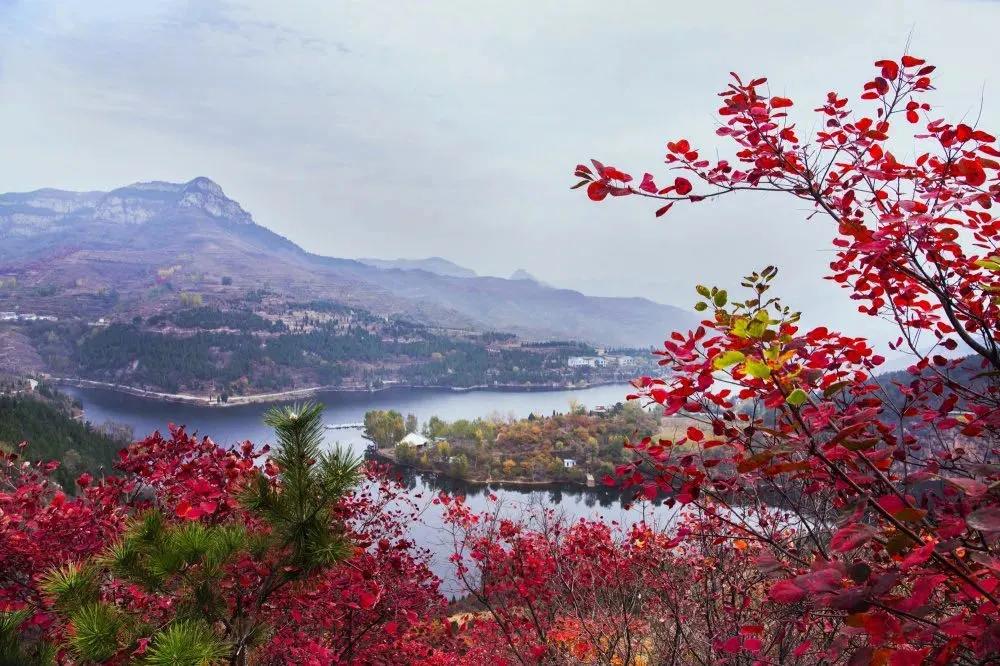 济南周末郊游好去处,济南适合春游的地点和景点