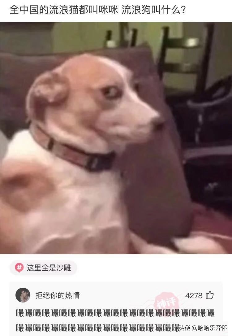 盘点男生宿舍沙雕爆笑,神评爆笑合集