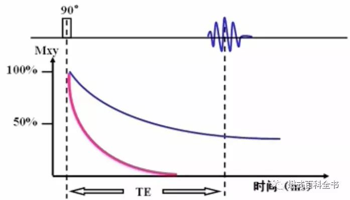 开展mrcp技术,mrcp检查操作流程