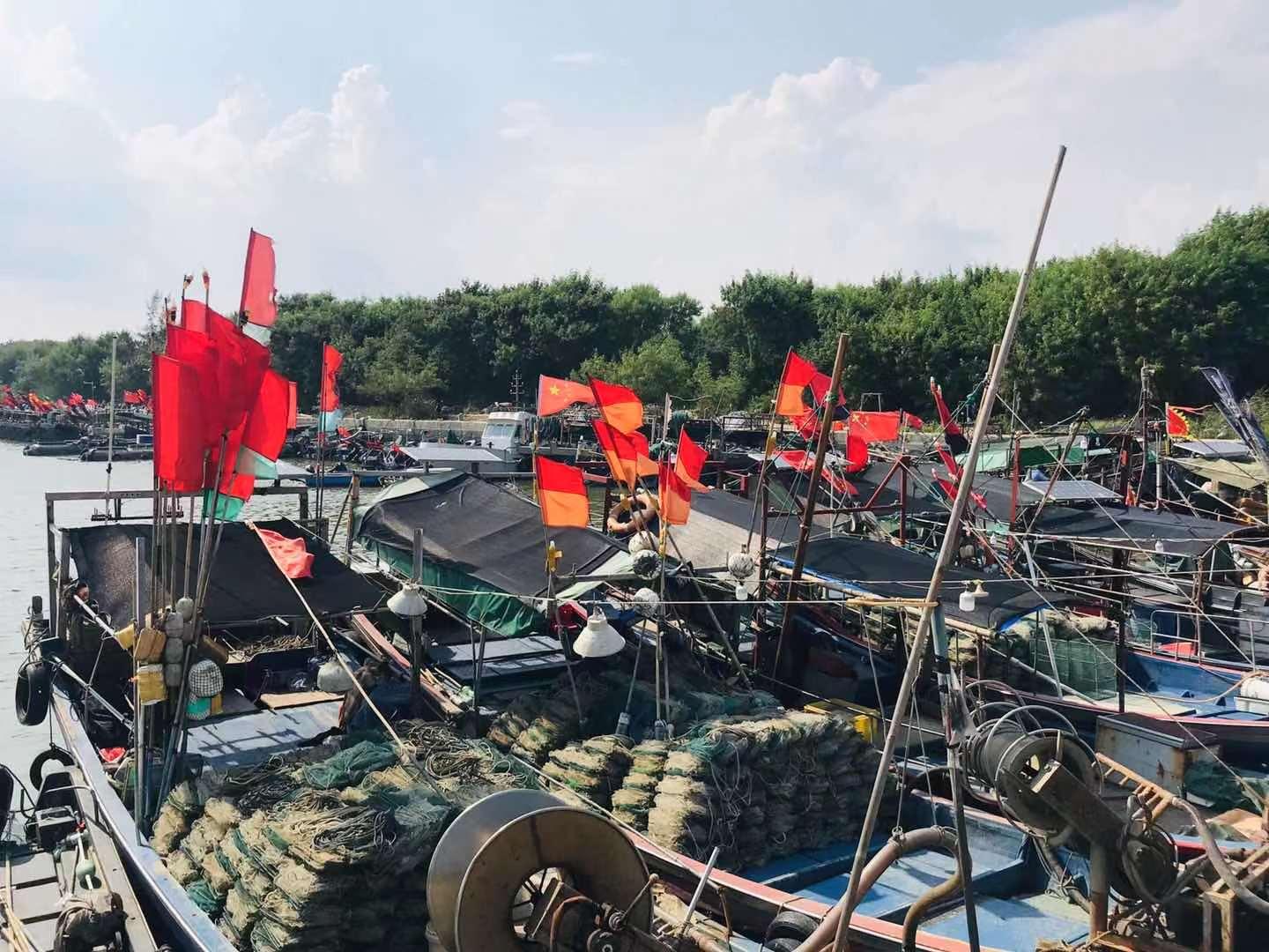 深汕高速公路鲘门服务区下一站,深汕服务区离鲘门服务区有多远