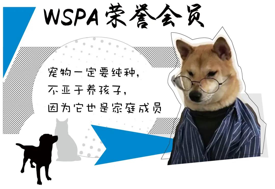 中产阶级品牌图鉴,新中产阶级收入标准