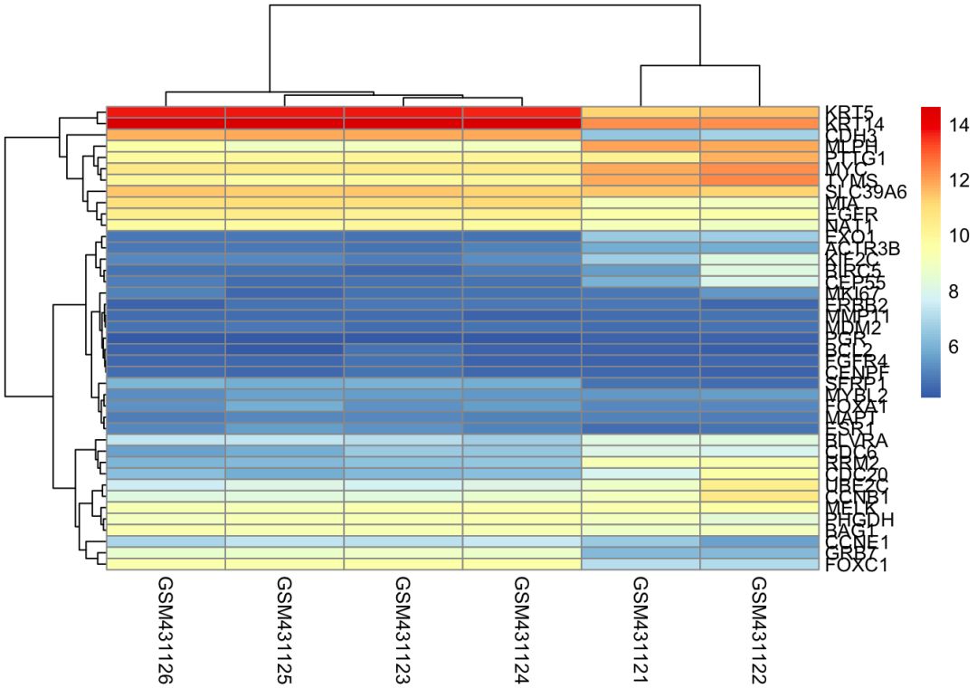 生信常用的数据库,生信数据处理流程