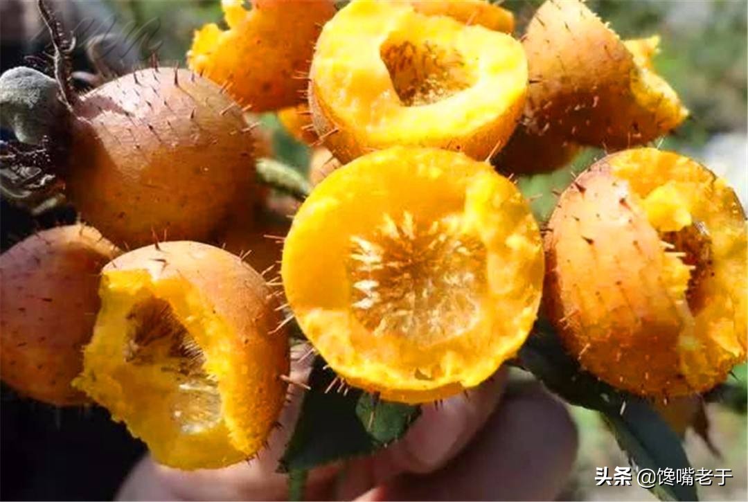 西瓜和哪些水果搭配会好吃,秋天能吃的西瓜有哪些