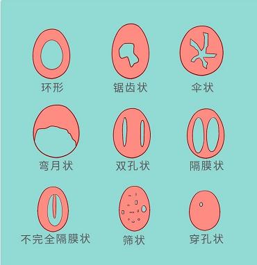 你被哪些生理知识骗了,那些不可不知的生理冷知识