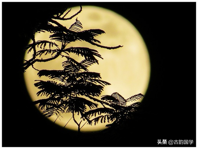 宋诗名句唯美千古绝句,四句宋诗名句