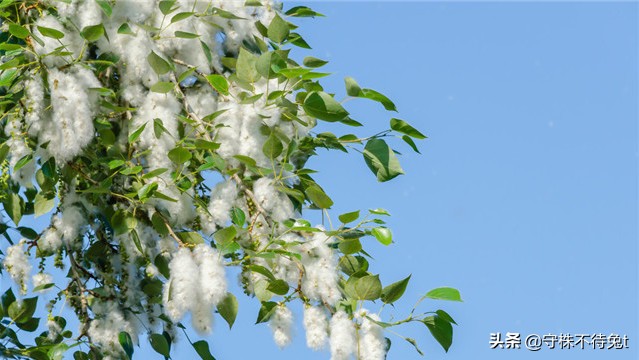 电池没电可以咬吗为什么,电池没电咬一咬还有电怎么回事