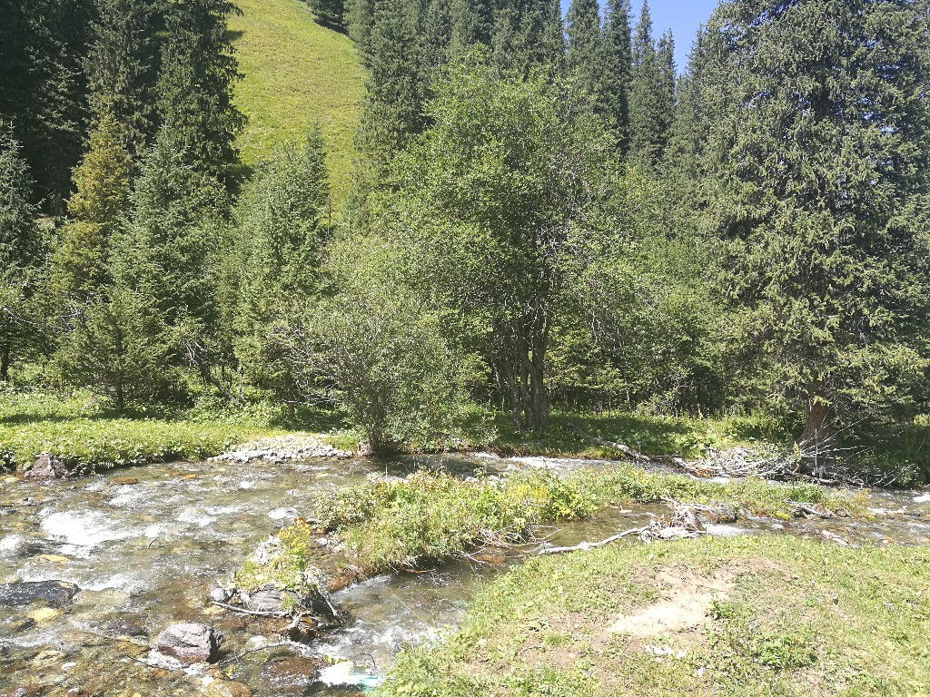 与*疆新**旅店老板共餐，直夸我土豆丝炒的好吃，后请我吃羊肉大餐