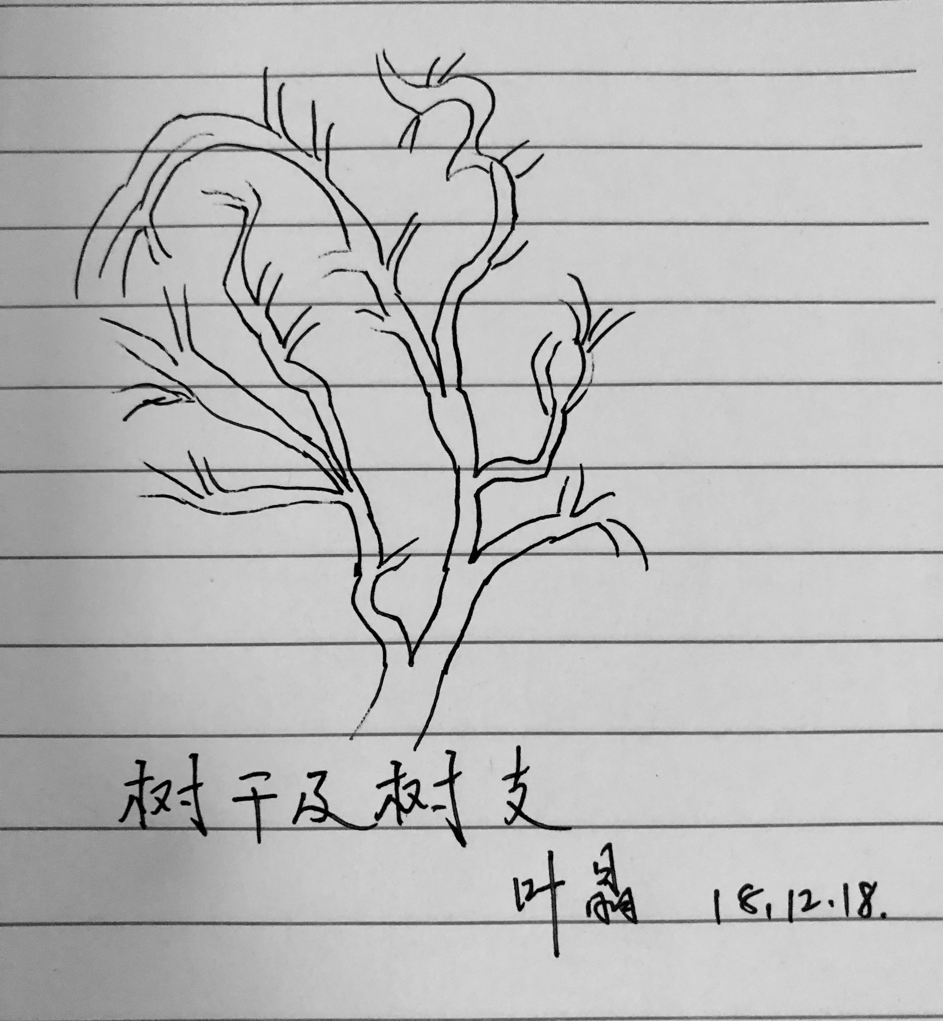 食管癌早期做胃镜能查到吗,食管癌通过胃镜可以检查出来吗