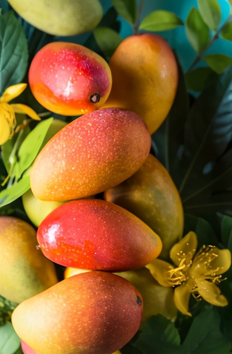 「吃芒果治愈不开心」带有阳光味道的芒果，你怎么能错过