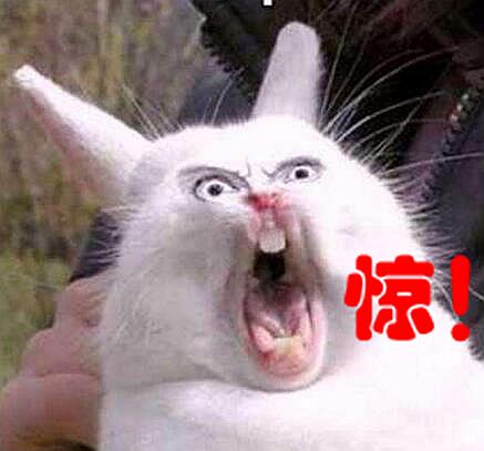 吐槽大会男嘉宾,吐槽大会男星