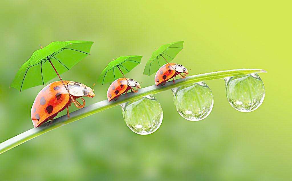 如何理解生命的真相和生命的意义,生命的真谛是什么生命的意义何在