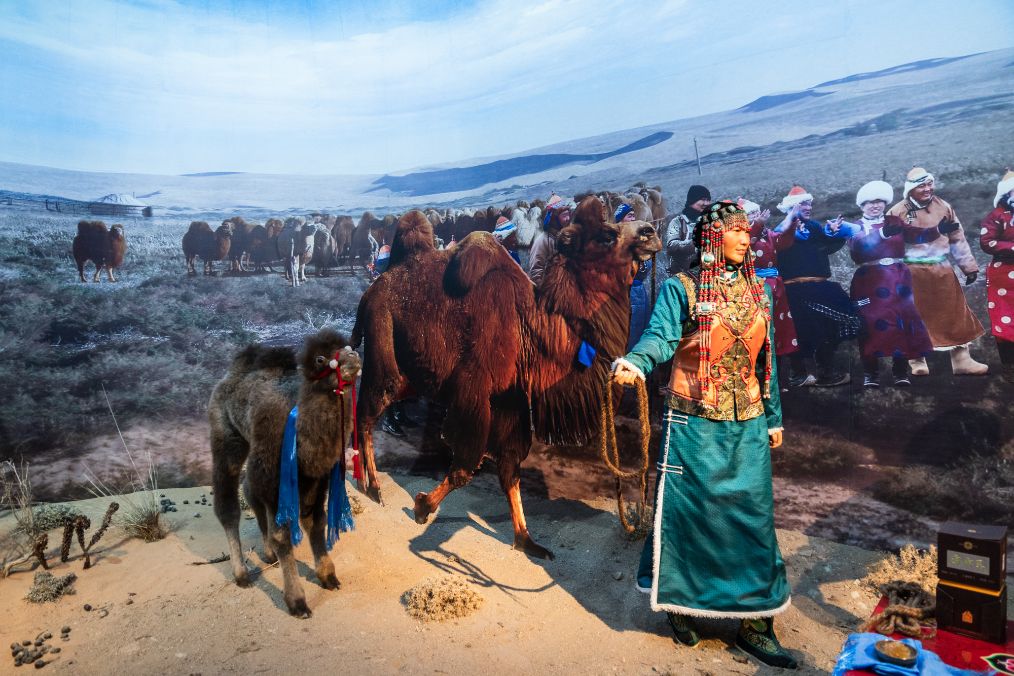 她是滔滔千里黄河的宠儿,阴山之下、河套之上的掌上明珠