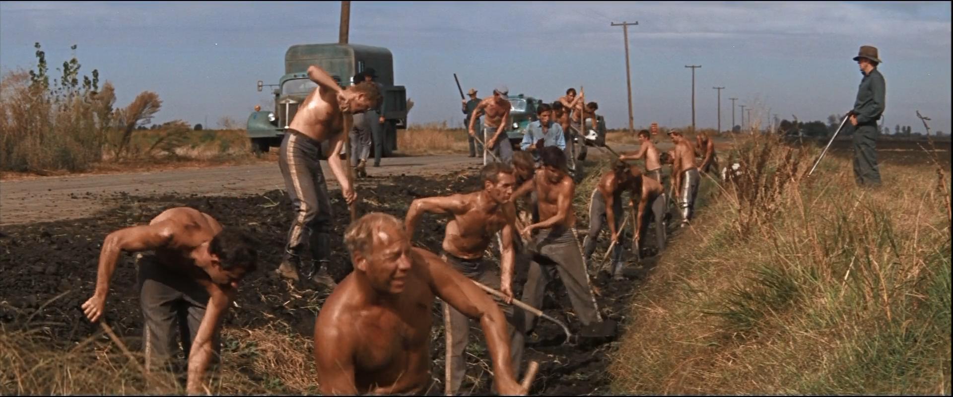 高分经典历届奥斯卡最佳电影,越狱2奥斯卡