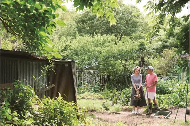75岁日本家庭主妇日常,日本中年家庭主妇一天的真实生活