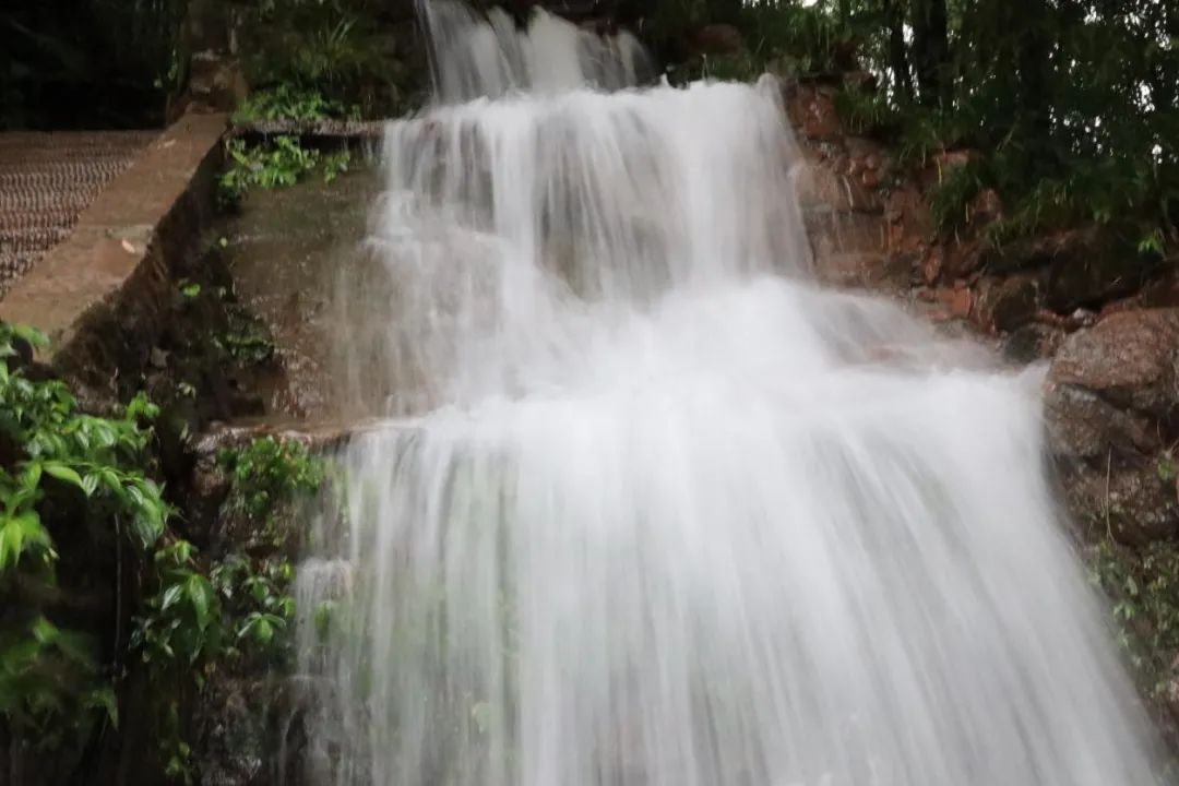 宝马8系双门碳纤维,宝马8系四门版的驾驶感受