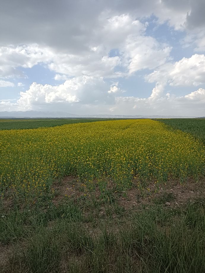 电商直播带货培训班讲话,电商直播带货培训技巧文案