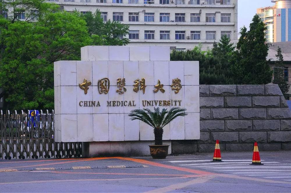 106所医药类大学排名！“哈医大”进入前10强！