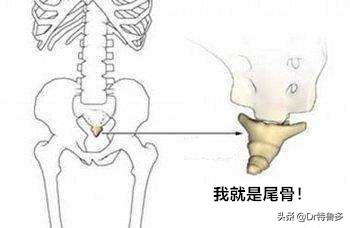 不明原因的尾骨痛怎么治疗最好,一坐下尾骨疼是怎么回事女性