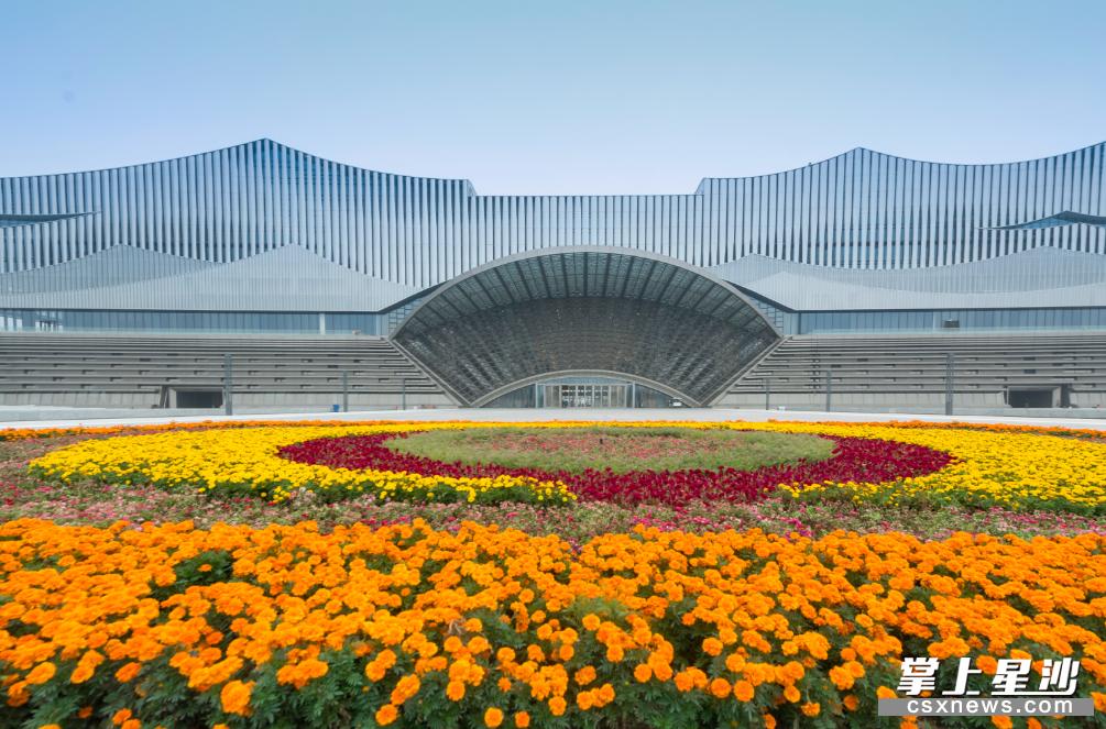 星沙都挺好雕塑,在都挺好遇到自己熟悉的车牌