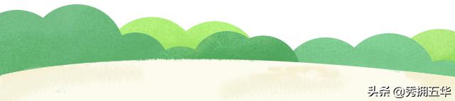 走进“大山之眼”了解长虫山守护者们不为人知的故事