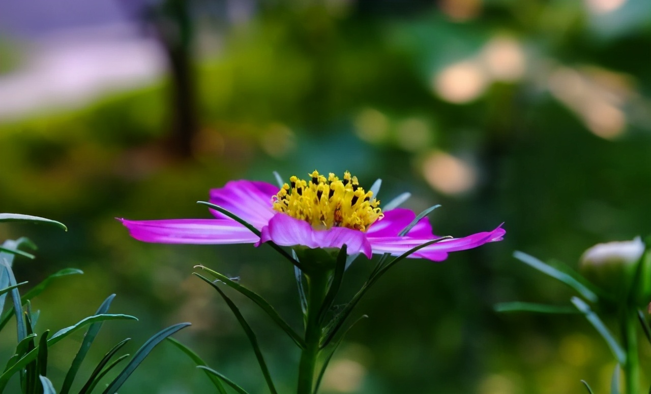 为自己鼓掌满分作文,中考优秀作文写自己的成长过程