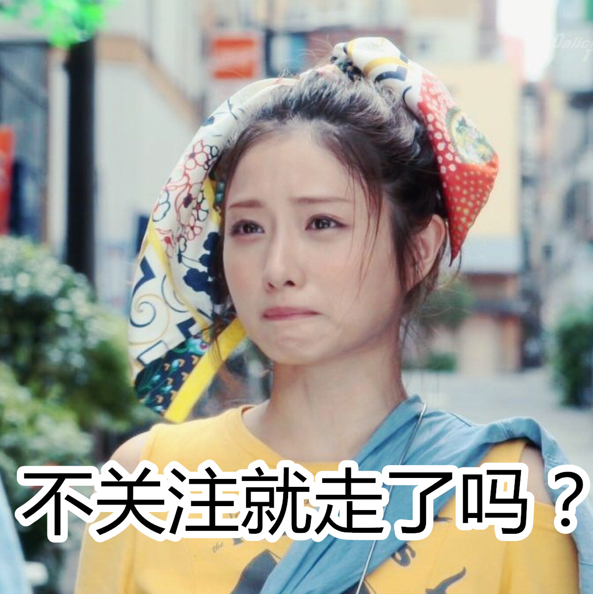 飞轮海5566成员名称,5566飞轮海同台