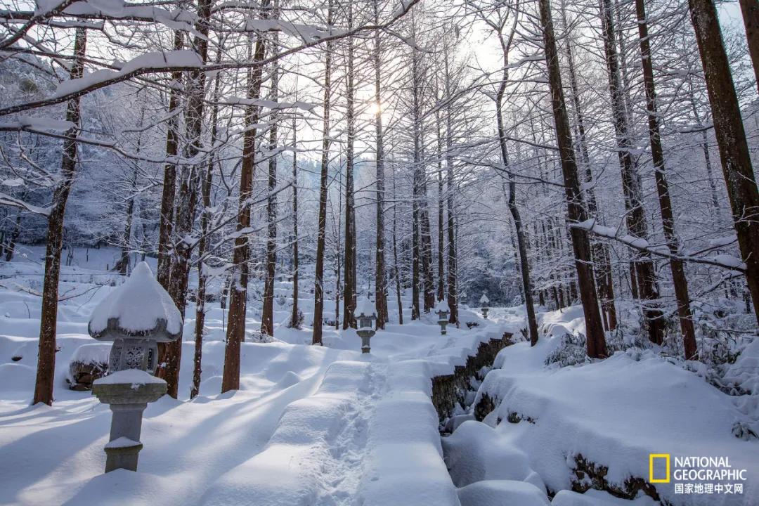 爬九华山多长时间,九华山必须要爬吗