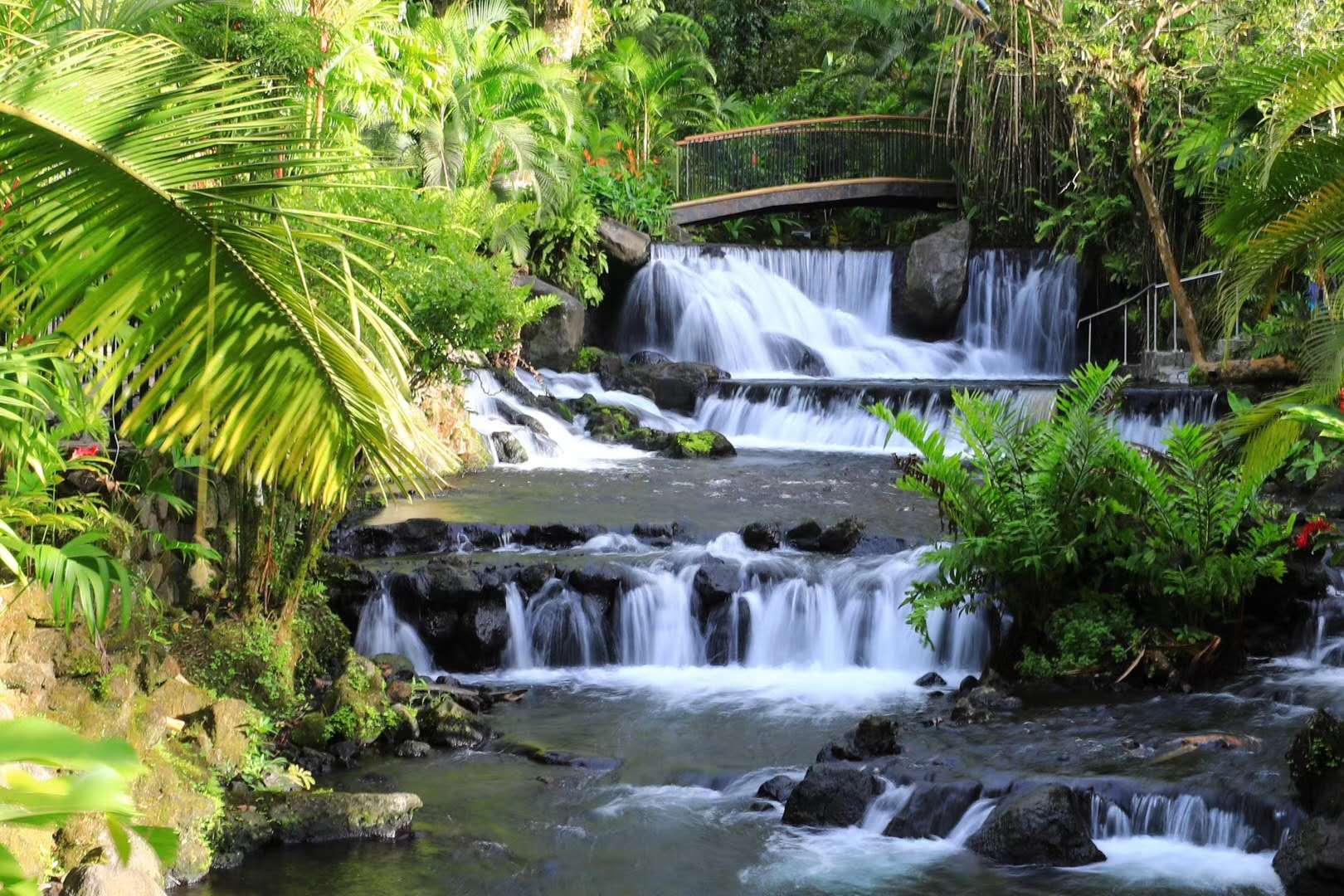 持有美国签证去泰国免签吗,美国签证免签日本吗