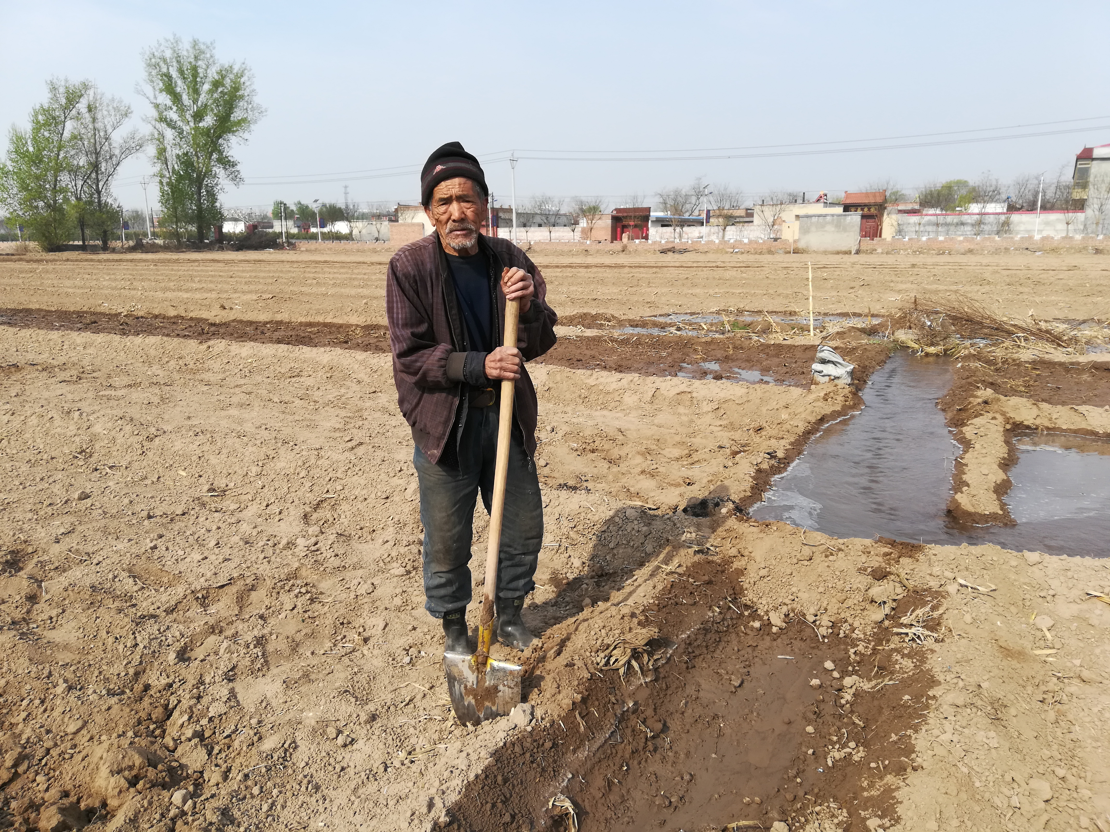 春玉米怎么育苗,春玉米播种时间及管理方法