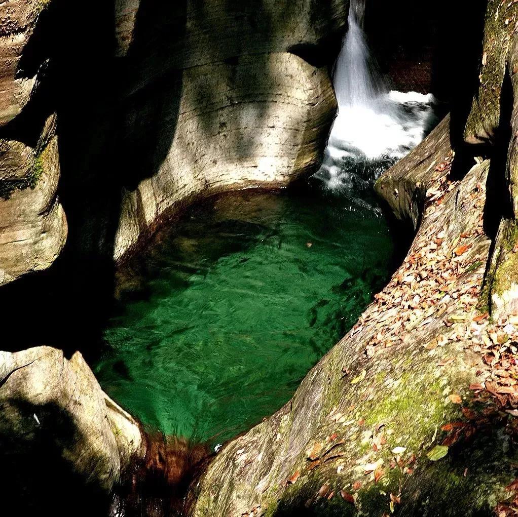 一去梵净,便懂了最美中国风