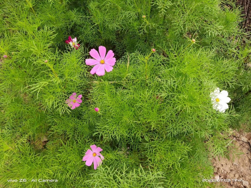 老人生命的最后阶段，放弃治疗其实是理性的而不是不孝