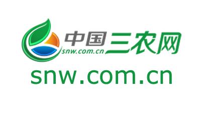 野生灵芝和人工种植灵芝差别大吗,野生灵芝与人工种植功效一样吗